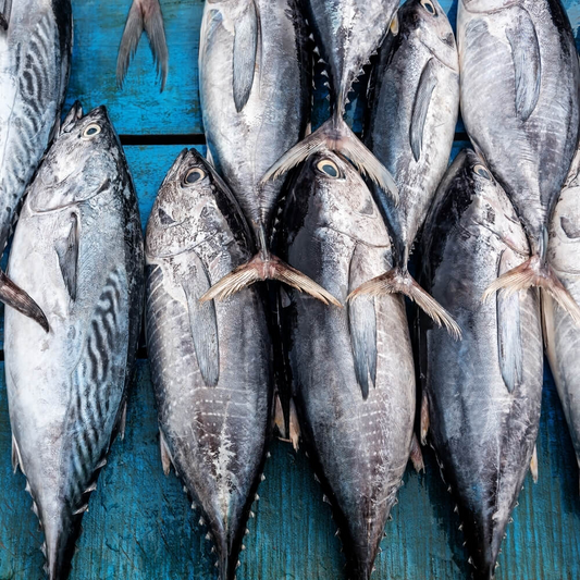 Tuna