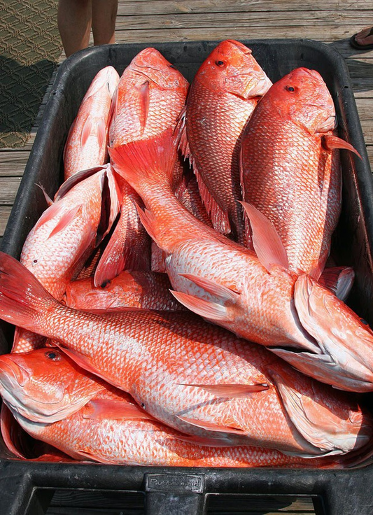 Red Fish